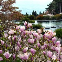 В японском саду :: Ольга 