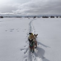 Прогулка :: Anna Ivanova