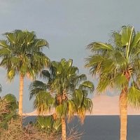 Египет. Шарм-эль-Шейх :: Ирэн 