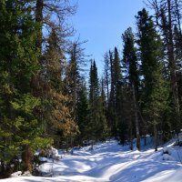 - :: Владимир Мигонькин