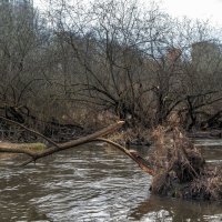 Весенняя Речушка :: юрий поляков