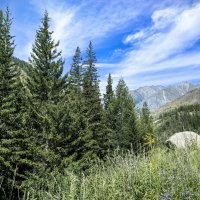 В горах Алтая :: Галина Козлова 