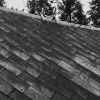 Крыша :: Радмир Арсеньев