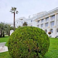 СОЧИ :: Tata Wolf