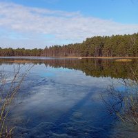 Апрельские фотозарисовки . .. :: Татьян@ Ивановна Апрельские фотозарисовки . .. :: Татьян@ Ивановна