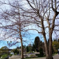 МАРТ :: Tata Wolf