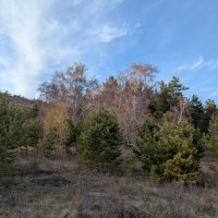 Октябрь :: Андрей Хлопонин