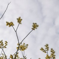 Апрель :: Валерий Иванович