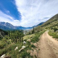 Дороги Алтая :: Галина Козлова 