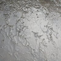 март :: Елена Шаламова март :: Елена Шаламова