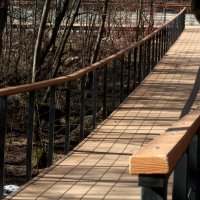 К свету :: олег свирский 