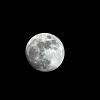 ******* :: Андроник Александр 