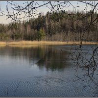 *** :: Aleksandr Gal