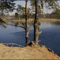 *** :: Aleksandr Gal *** :: Aleksandr Gal