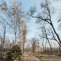 Ботанический сад. :: Murat Bukaev 