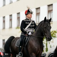 ... :: Владимир Салапонов