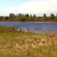 Озерцо. :: nadyasilyuk Вознюк