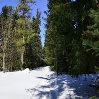 - :: Владимир Мигонькин