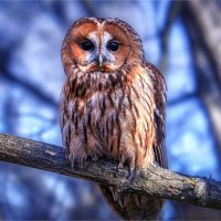 ПРИРОДА :: Юрий Владимирович 34 ПРИРОДА :: Юрий Владимирович 34