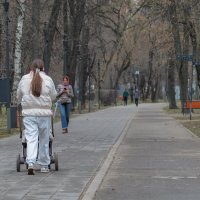 Прогулки в Весеннем Парке :: юрий поляков Прогулки в Весеннем Парке :: юрий поляков