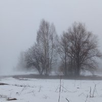 Апрель-он разный...Сегодня туман... :: Алена Апрель-он разный...Сегодня туман... :: Алена