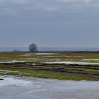 Опять весна :: Роман Пацкевич