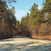 Пруд "Баранка" весной :: Леонид leo