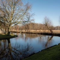 *** :: Николай Гирш