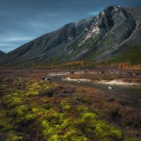 Мшистый берег вдоль речки студёной :: Дмитрий Шишкин Мшистый берег вдоль речки студёной :: Дмитрий Шишкин