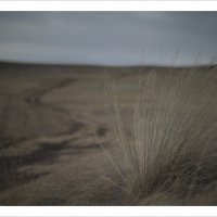 * :: Александр Иванов