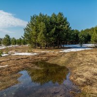 На исходе марта 7 :: Андрей Дворников