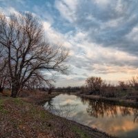 Весна в Волго-Ахтубинской пойме. :: Дина Евсеева