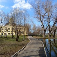 Накануне Вербного Воскресения :: Андрей Лукьянов