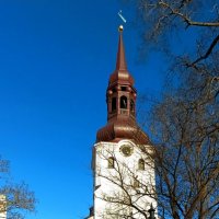 Домский собор Святой Девы Марии :: Veera V Домский собор Святой Девы Марии :: Veera V