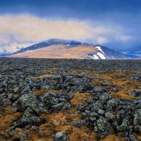 Идёт непогода. :: Юрий кот Идёт непогода. :: Юрий кот