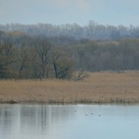 река Псёл :: Сеня Белгородский река Псёл :: Сеня Белгородский