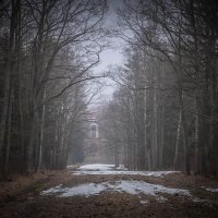 **** :: Елизавета .