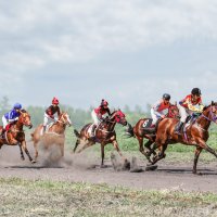 Скачки :: SanSan 