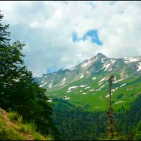 А вот и лето! :: Надежда А вот и лето! :: Надежда