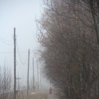 Утро туманное :: Елена Минина Утро туманное :: Елена Минина