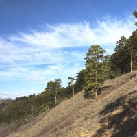 ... :: Валерий 