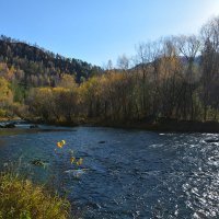 По р. Чемал :: Валерий Медведев