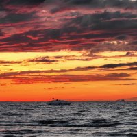 Про Питер :: Владимир Колесников