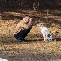 Хозяин и собака :: Александр Синдерёв