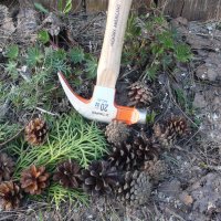 Молот, шишки, люпины, туя, можжевельник. Натюрморт. :: Михаил Елочкин Молот, шишки, люпины, туя, можжевельник. Натюрморт. :: Михаил Елочкин