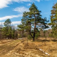 Теплый апрель :: Андрей Дворников