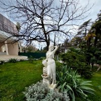 сочи :: Tata Wolf