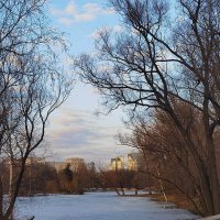 Весенние зарисовки в парке Победы. :: Лилия *