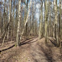 Мои апрельские тезисы :: Андрей Лукьянов