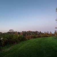 Об одиноко стоящем дереве... :: Николай Гирш Об одиноко стоящем дереве... :: Николай Гирш